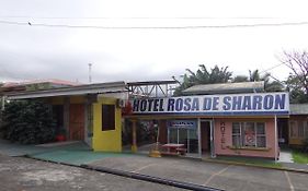 Hotel Rosa De Sharon